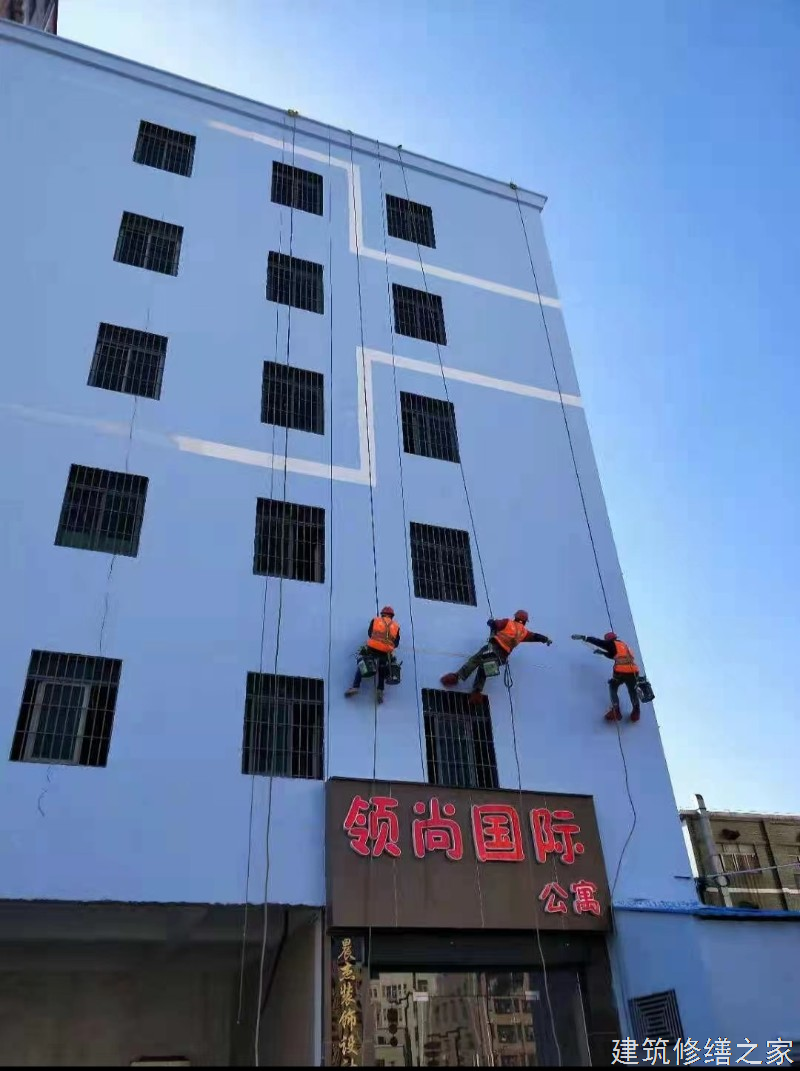 肇庆2026鼎湖区 涂料 企业